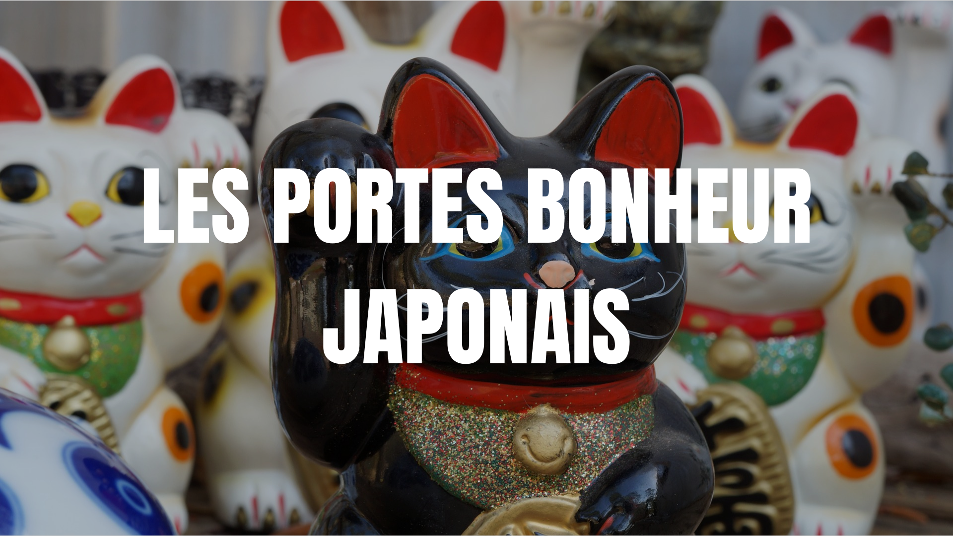 Le Manekineko : l'histoire complète du chat porte-bonheur japonais